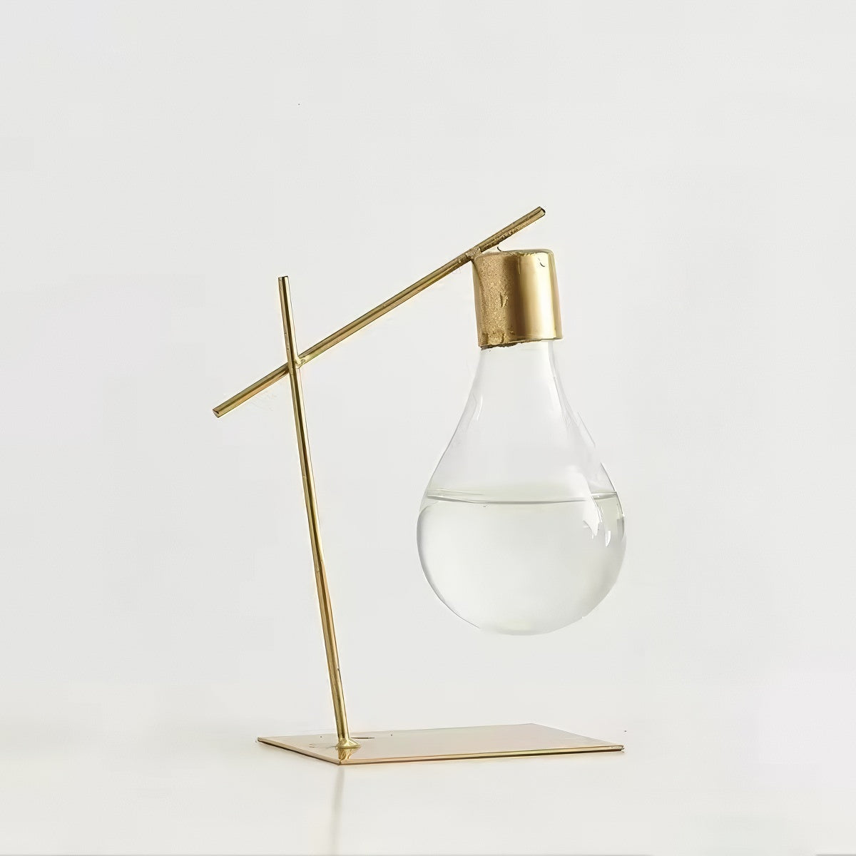 Minimalist Light Bulb Hydroponic Vase